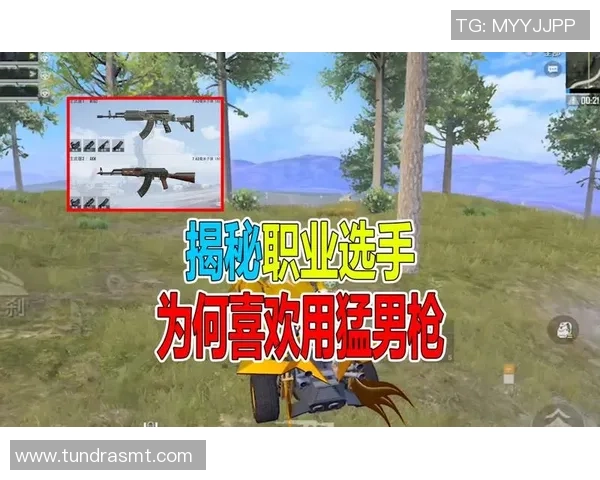 专访和平精英制作人杨伟揭秘游戏成功背后的故事与策略